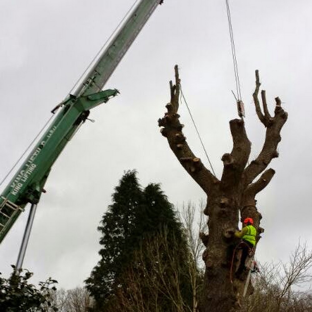 Climbers Way Tree Care