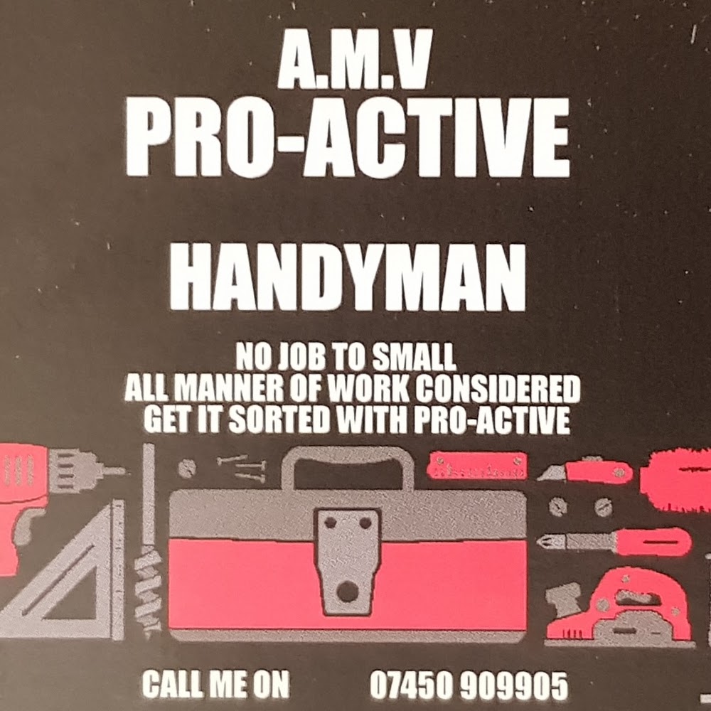 A.M.V PRO-ACTIVE