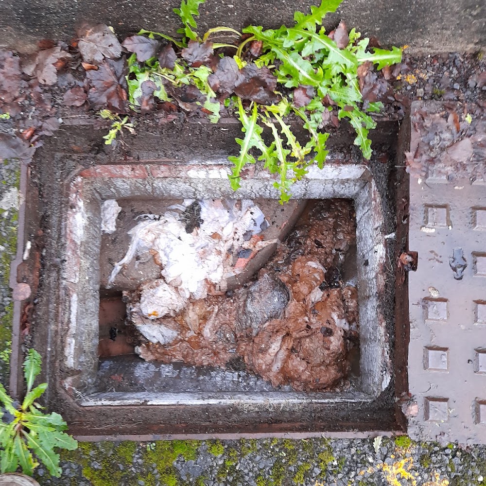 About Drains
