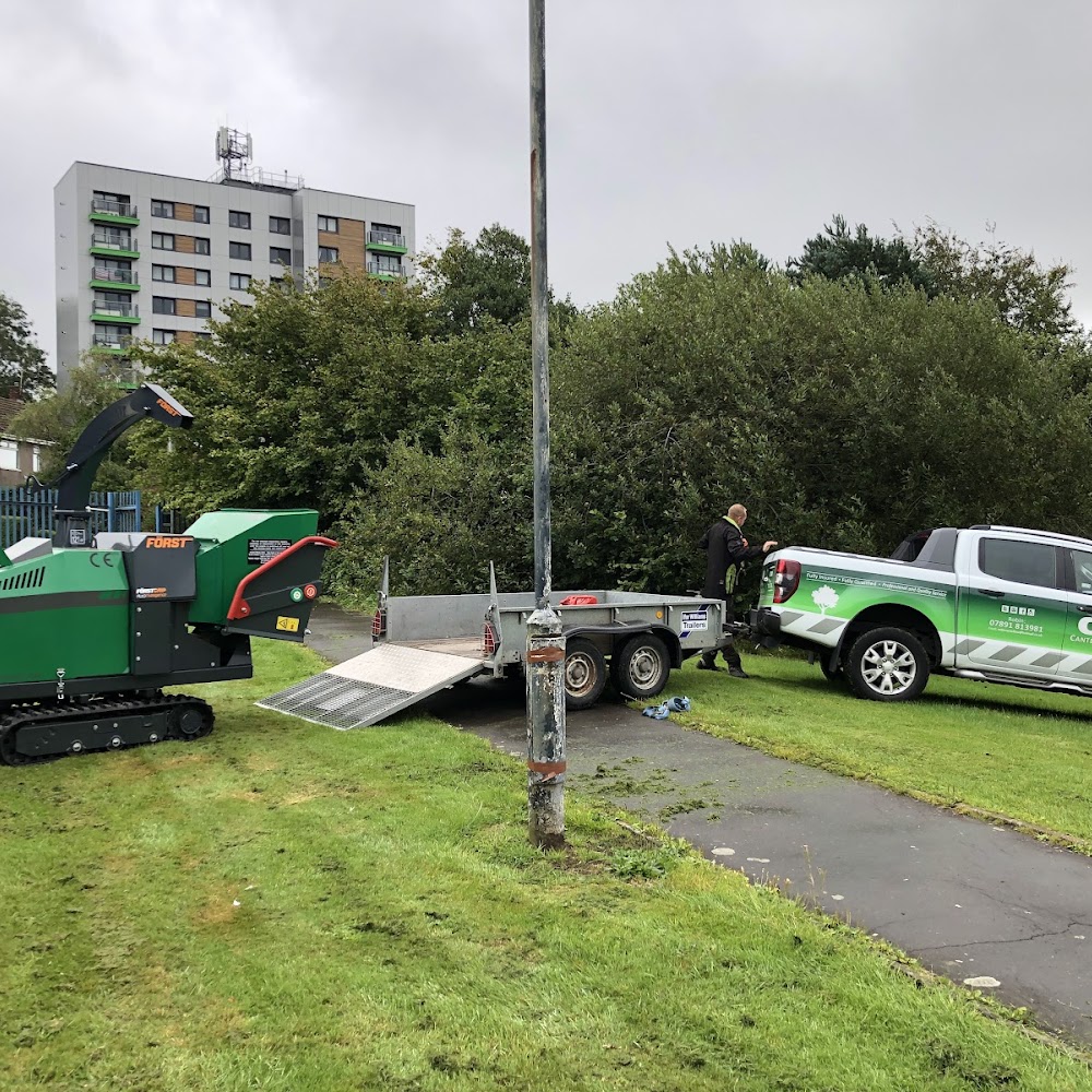 Cantellow Tree Surgery