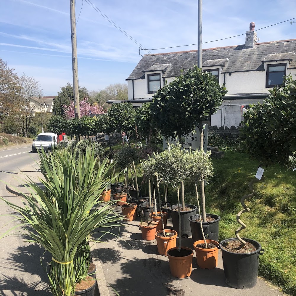 Kittle market garden
