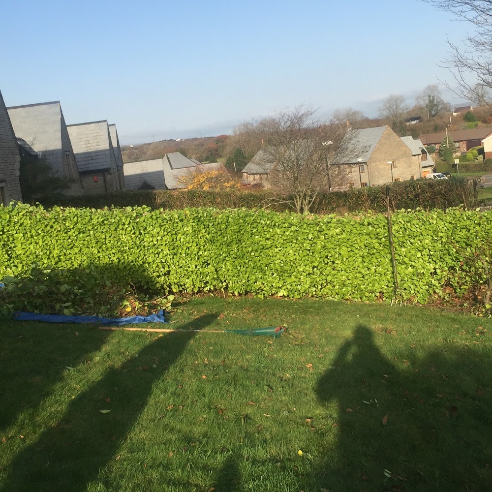 The Arb Team (Arborists and Consultants)