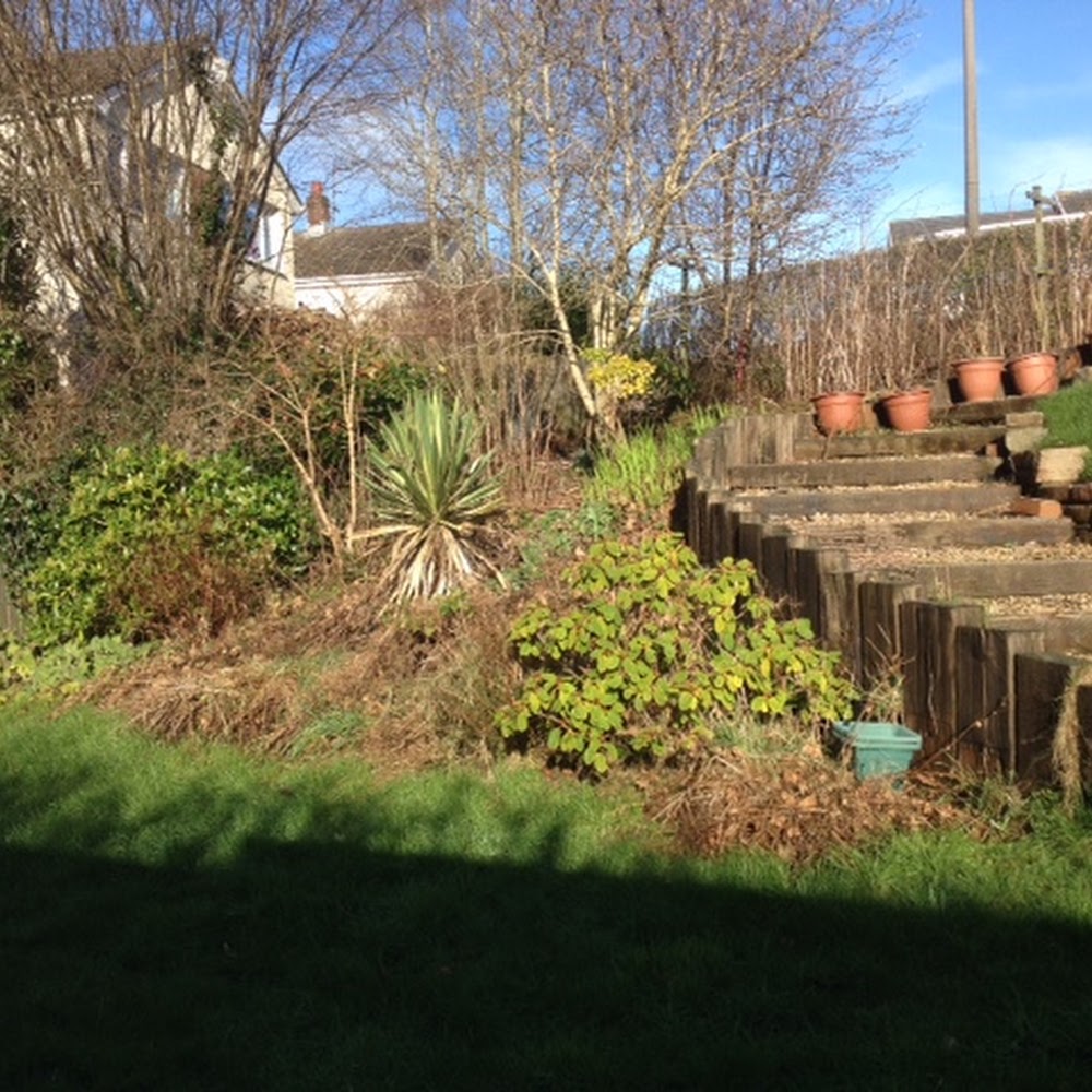 Crofty Nurseries