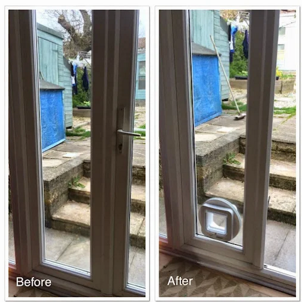 PetPanel Cat Flaps in Glass