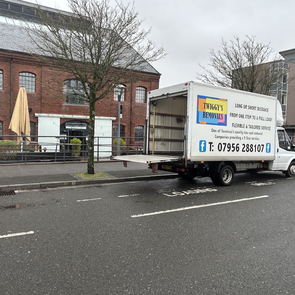 Twiggy's removals