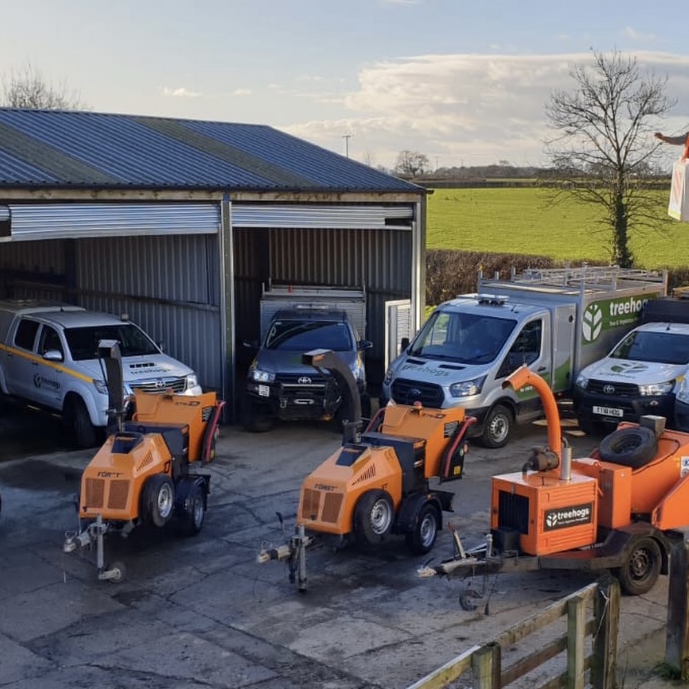 Treehogs Ltd