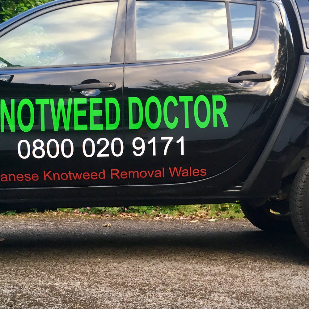 Knotweed Doctor