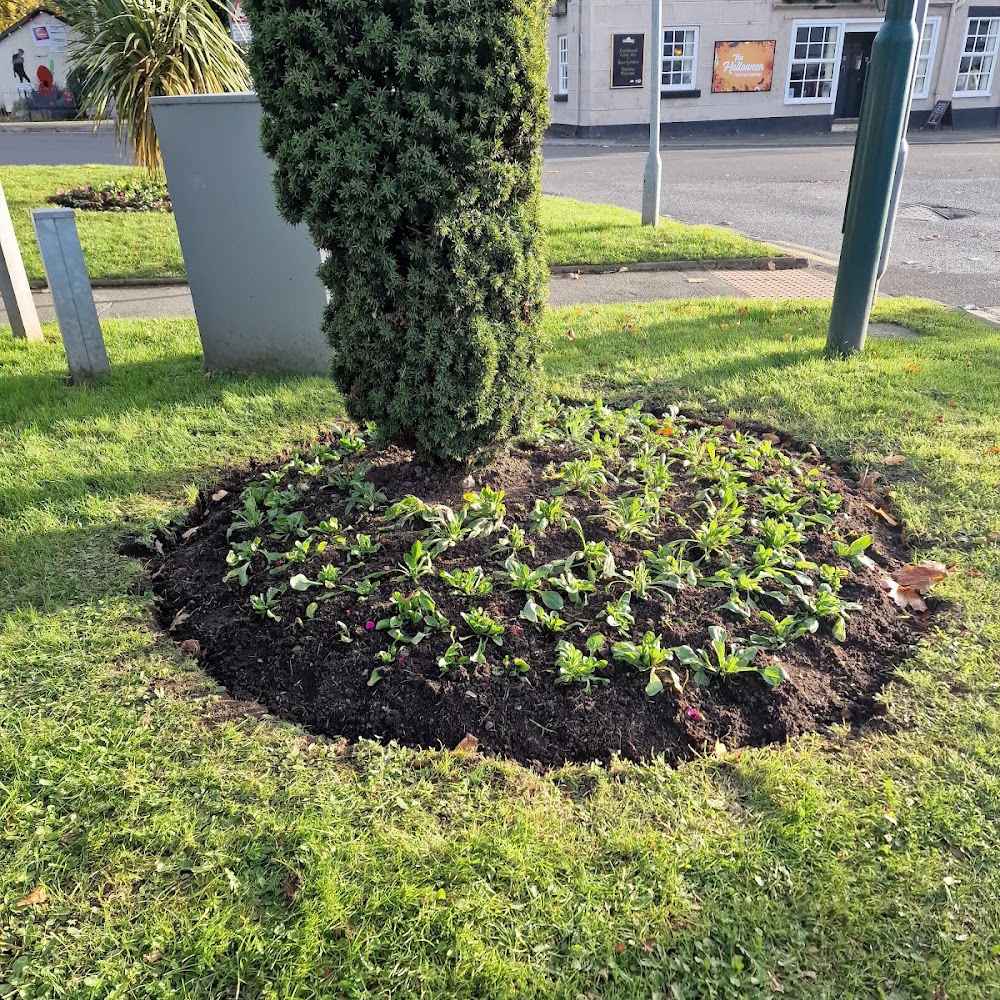MTG Grounds Maintenance