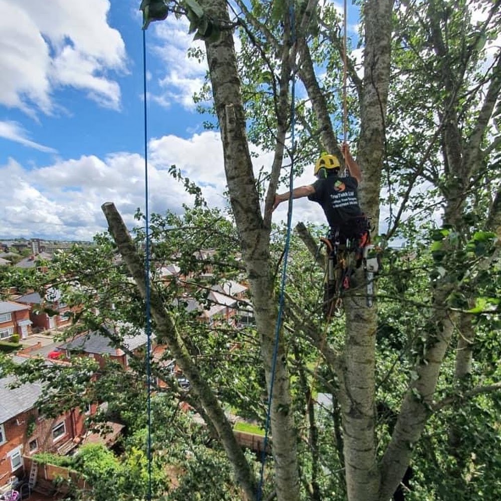 TreeTekk Ltd