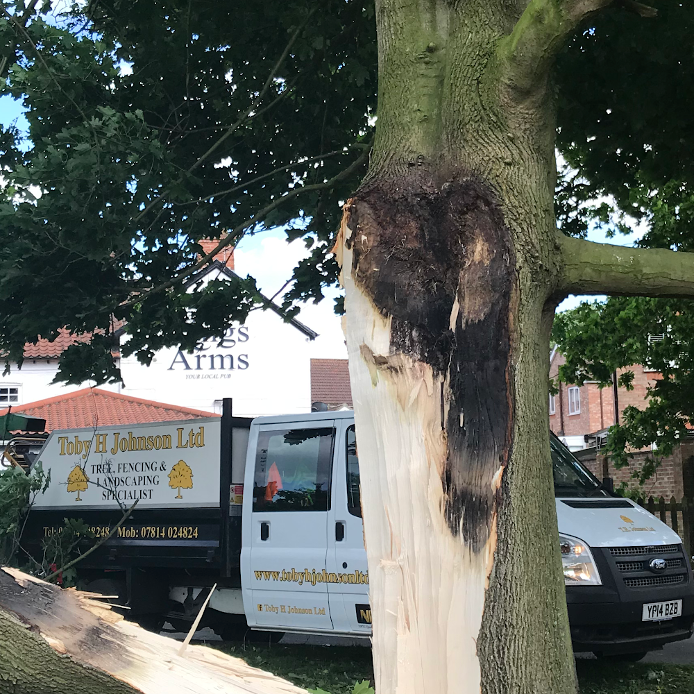 Toby H Johnson Ltd - Bespoke Landscaping, Fencing and Tree Surgery