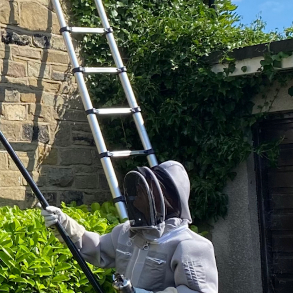 Yor-pest control