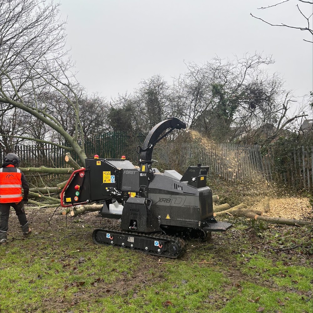LT Tree Contractors Ltd