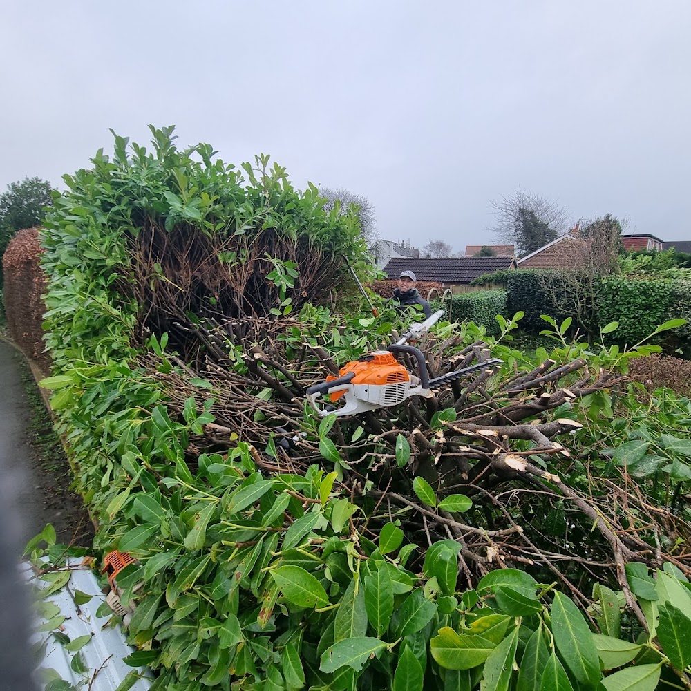 AJT Garden Services LTD