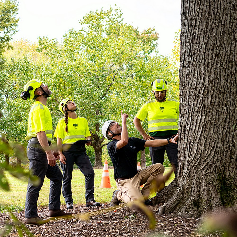 Bartlett Tree Experts