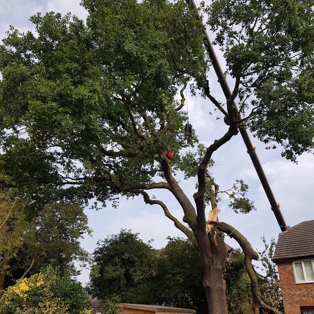 Yorkshire Tree Surgeons Ltd