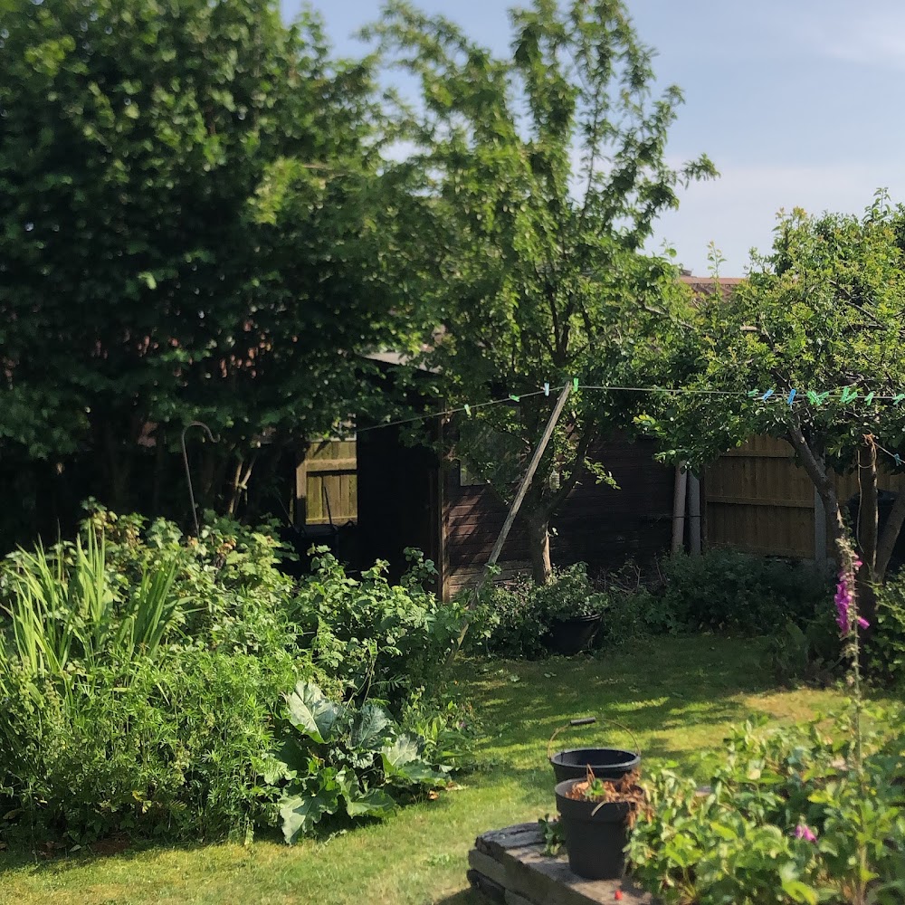 A Miers Gardening Services
