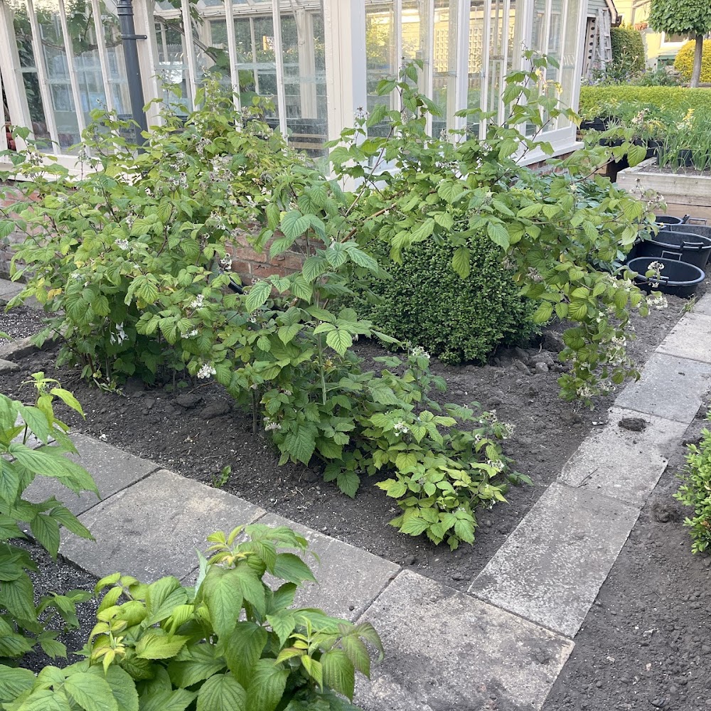 Woodend Gardening