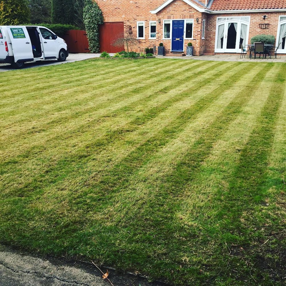 Lawn3 East Yorks
