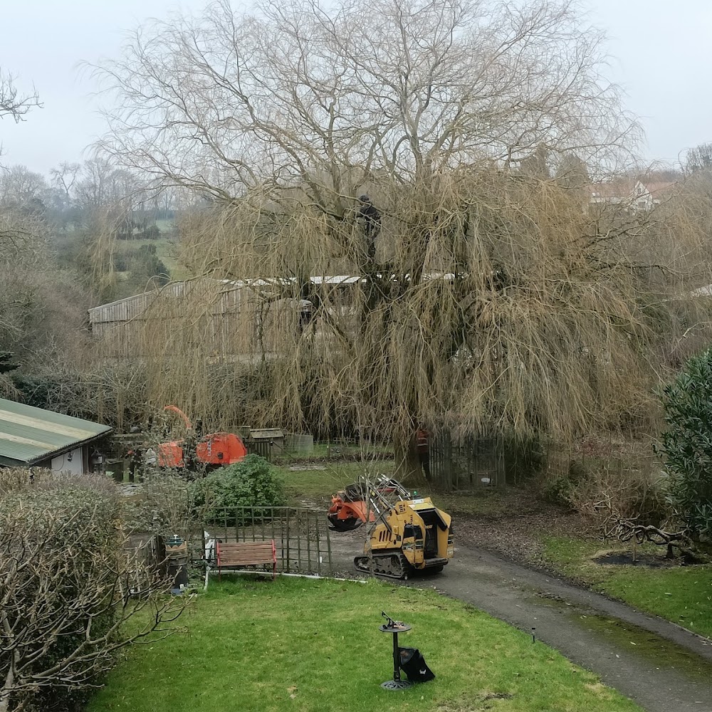 DRL Tree Care