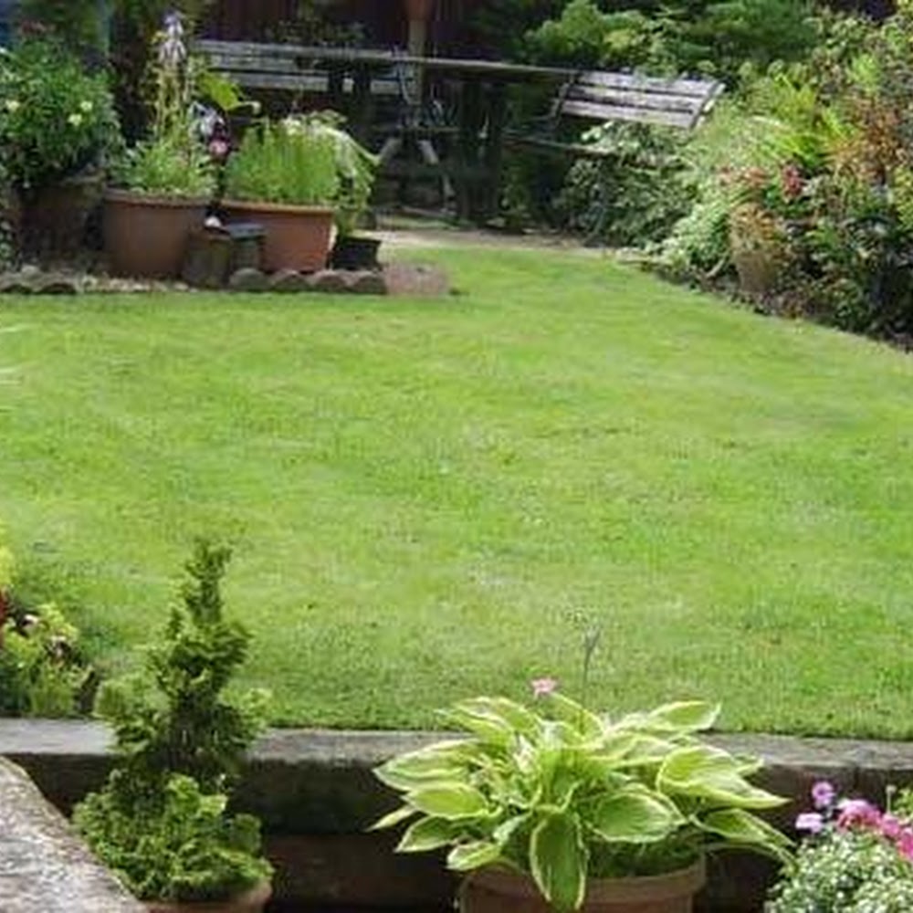 J P Services Contractors Ltd