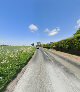 Premium Driveways Ltd.