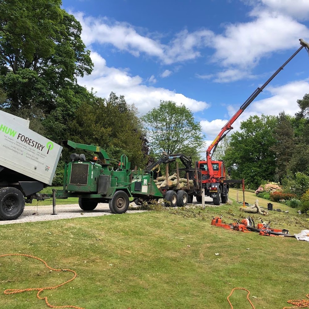 Huw Forestry Tree Care and Woodland Management