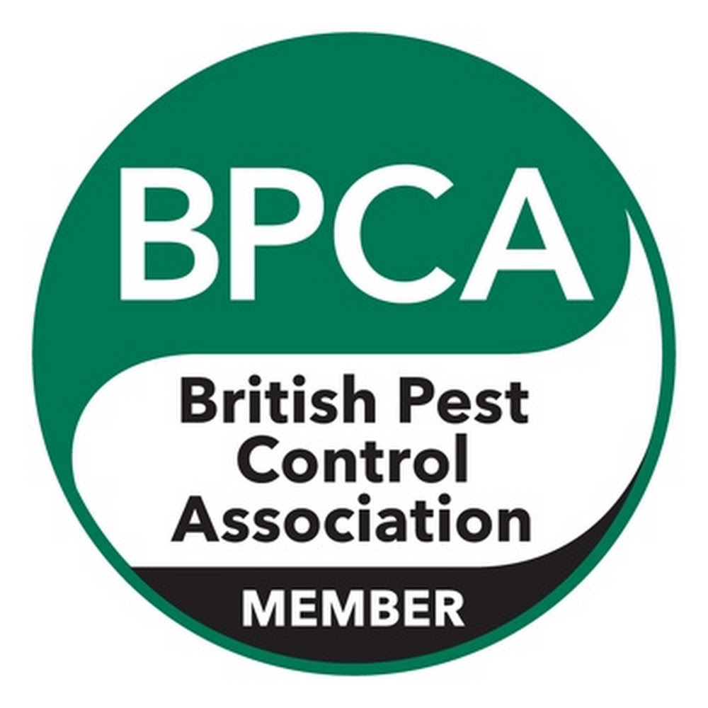 Shield Pest Management