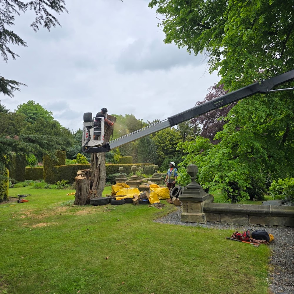 Anderson Tree Contractors